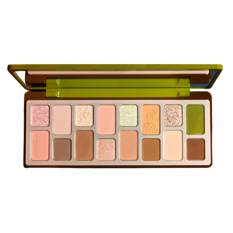 CHEERYEP (QIANYAN) 16-Color Natural Star Eye Shadow Palette - 19